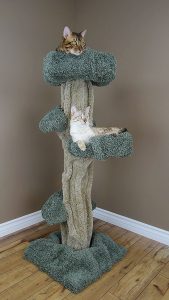 New Cat Condos Premier Large Cat Play Tree