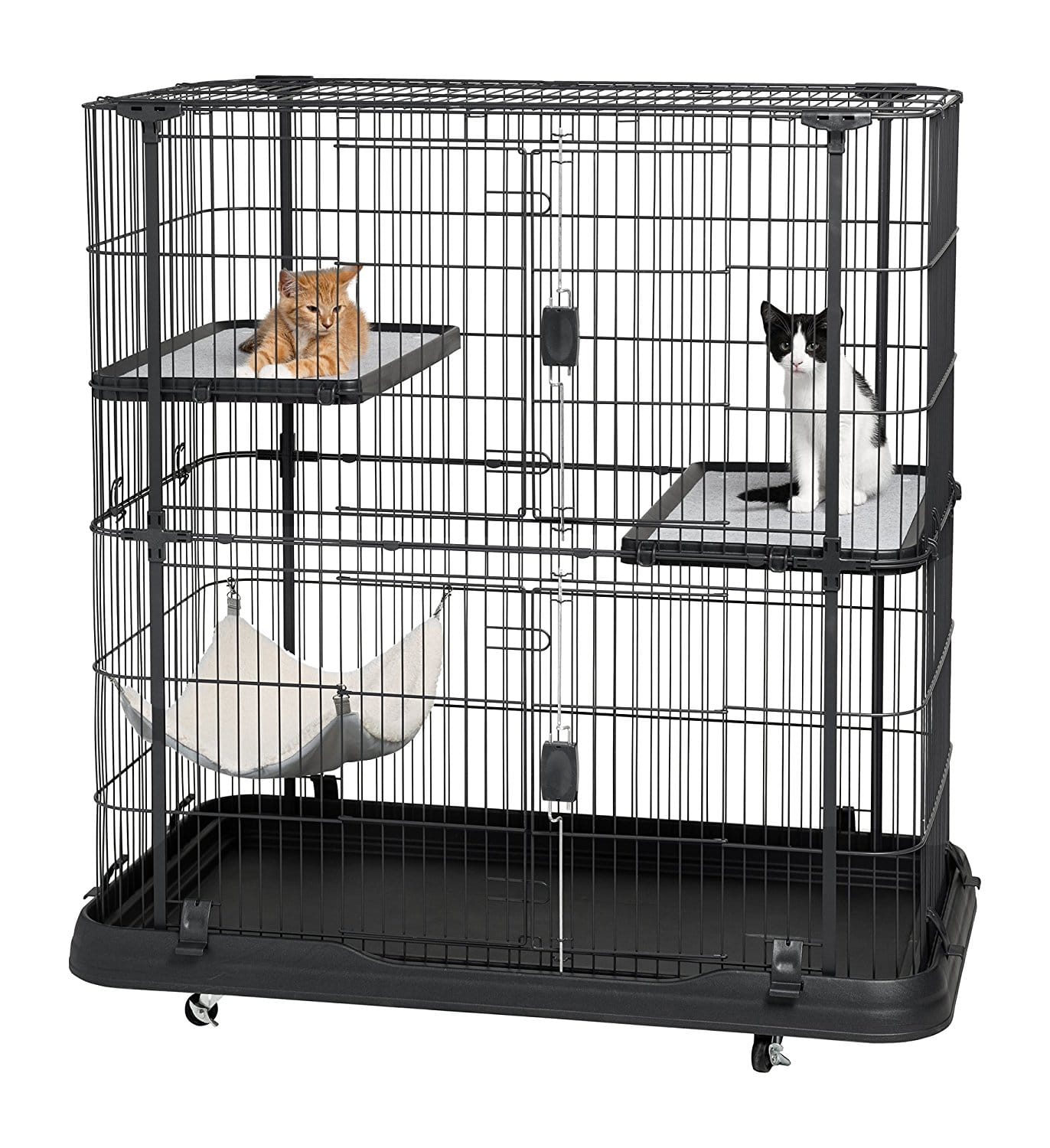 large cat kennel