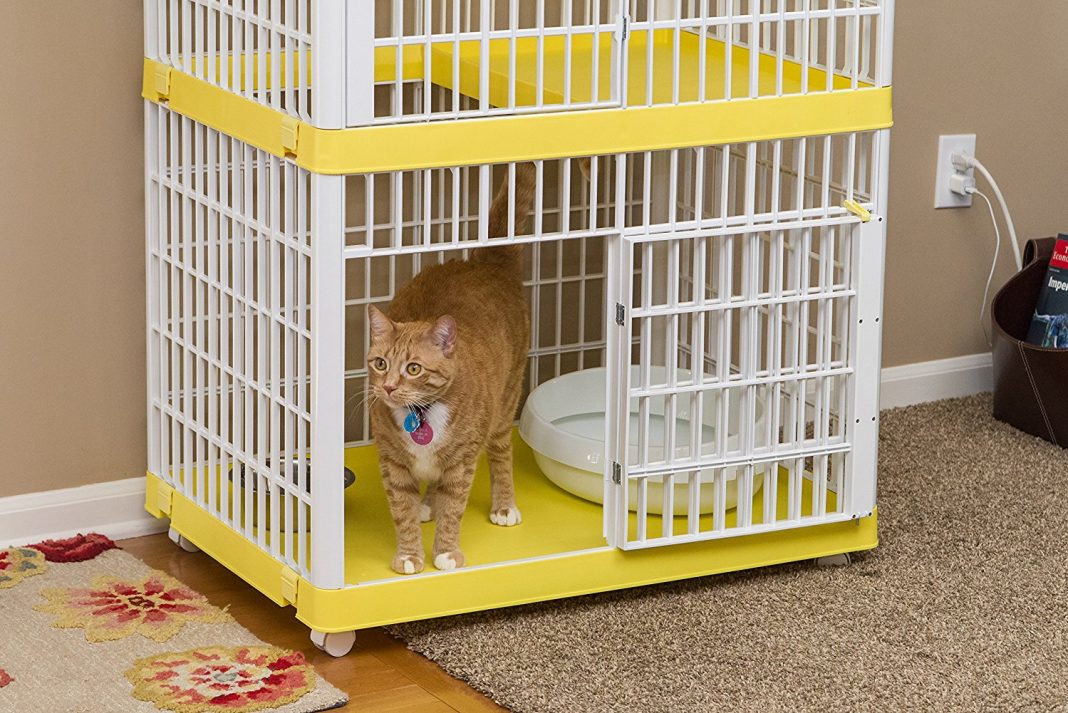 The Best Cat Cages in 2023 PawGearLab