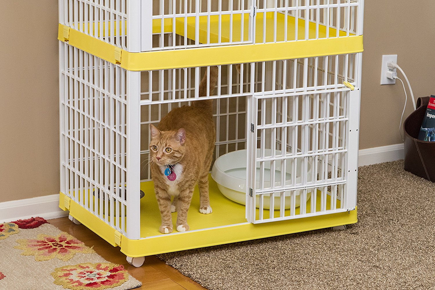 The Best Cat Cages In 2025 PawGearLab