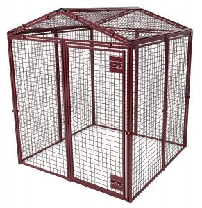 big cat kennel