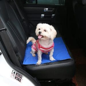 the range pet cooling mat