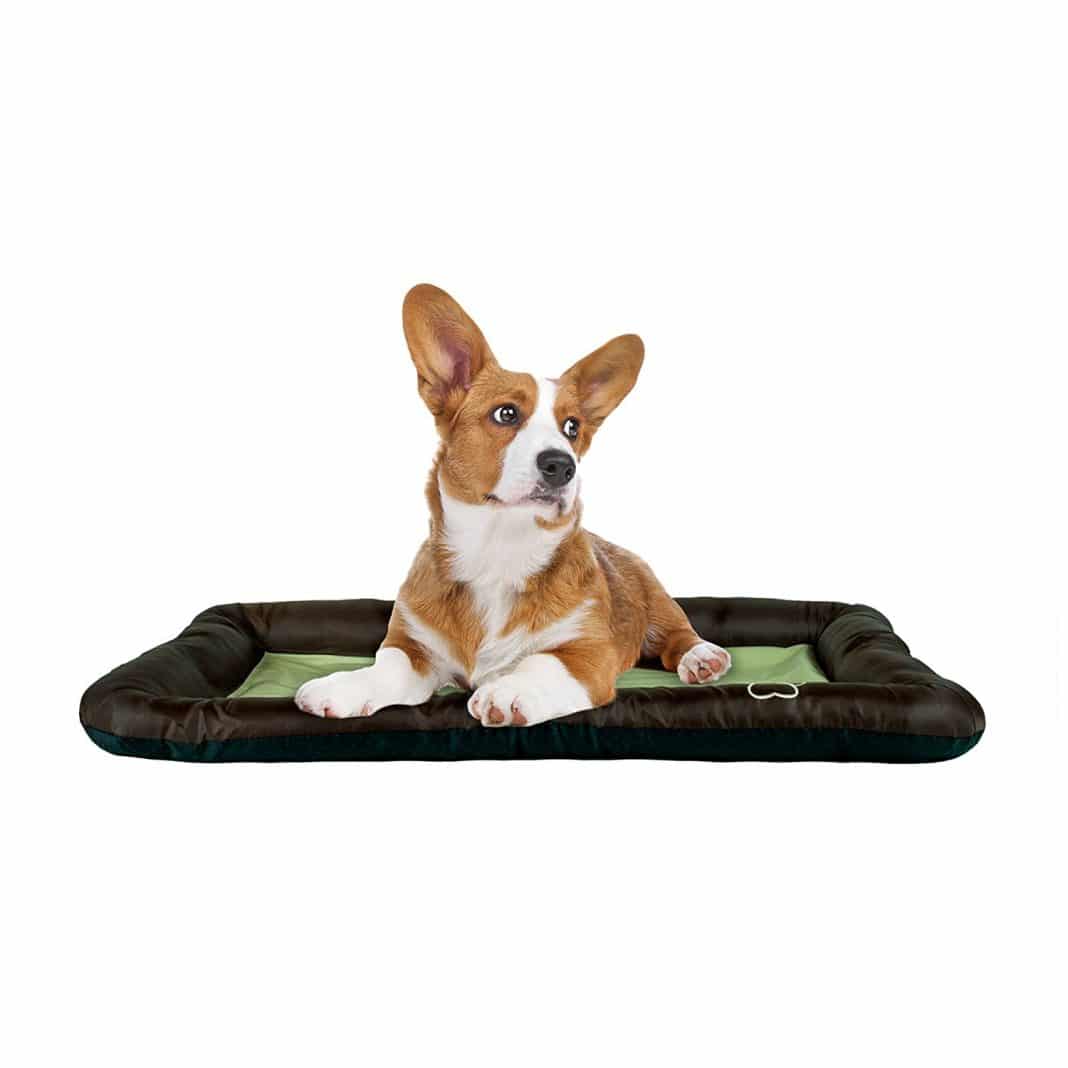 best cooling mat for dogs 2021