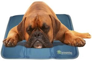 The Best Dog Cooling Mats In 2020 Pawgearlab