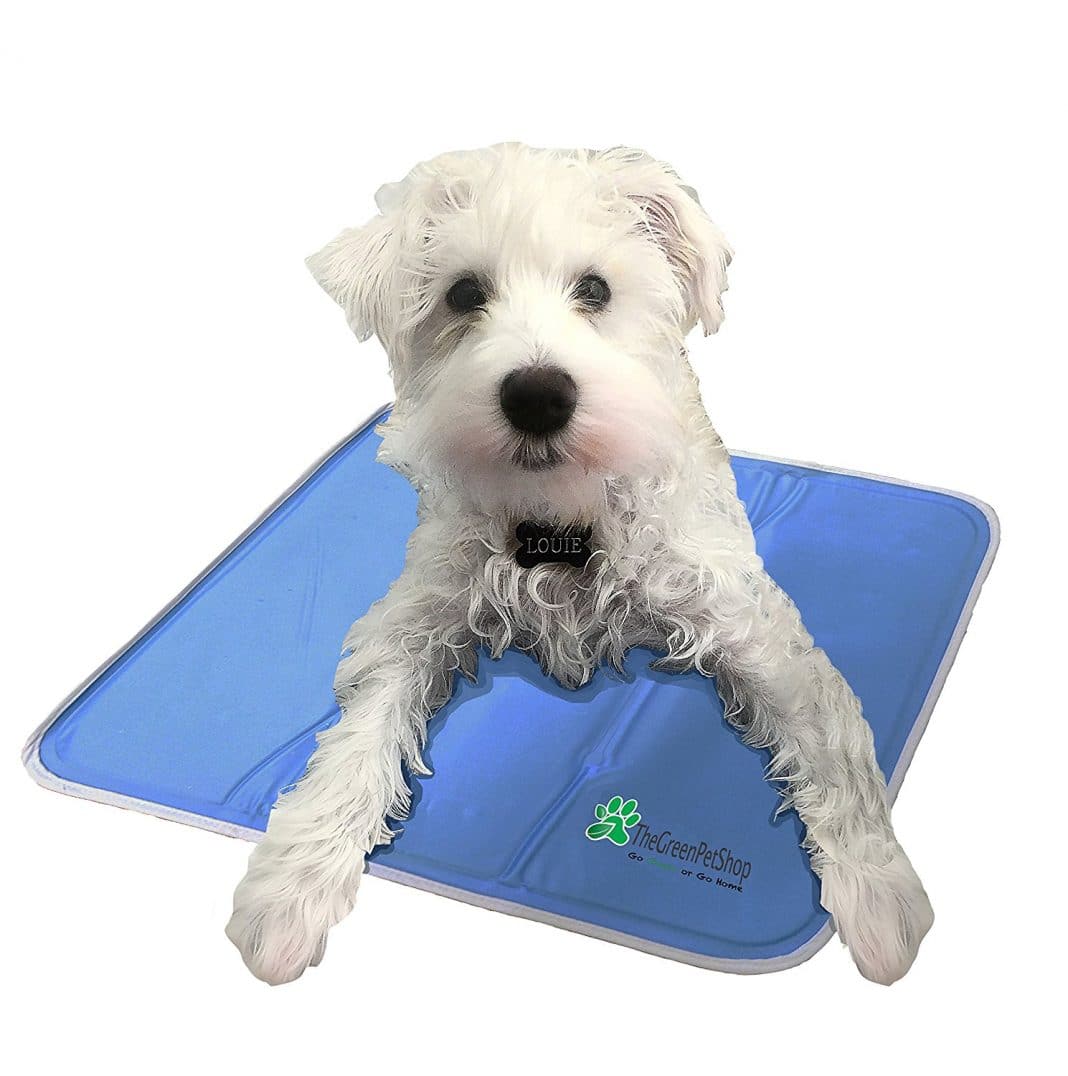 the best dog cooling mat
