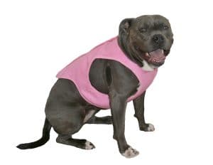 dog cooling jackets uk