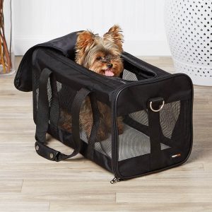 best soft sided dog crate