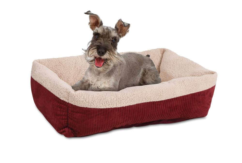 The Best Heated Dog Beds in 2023 PawGearLab