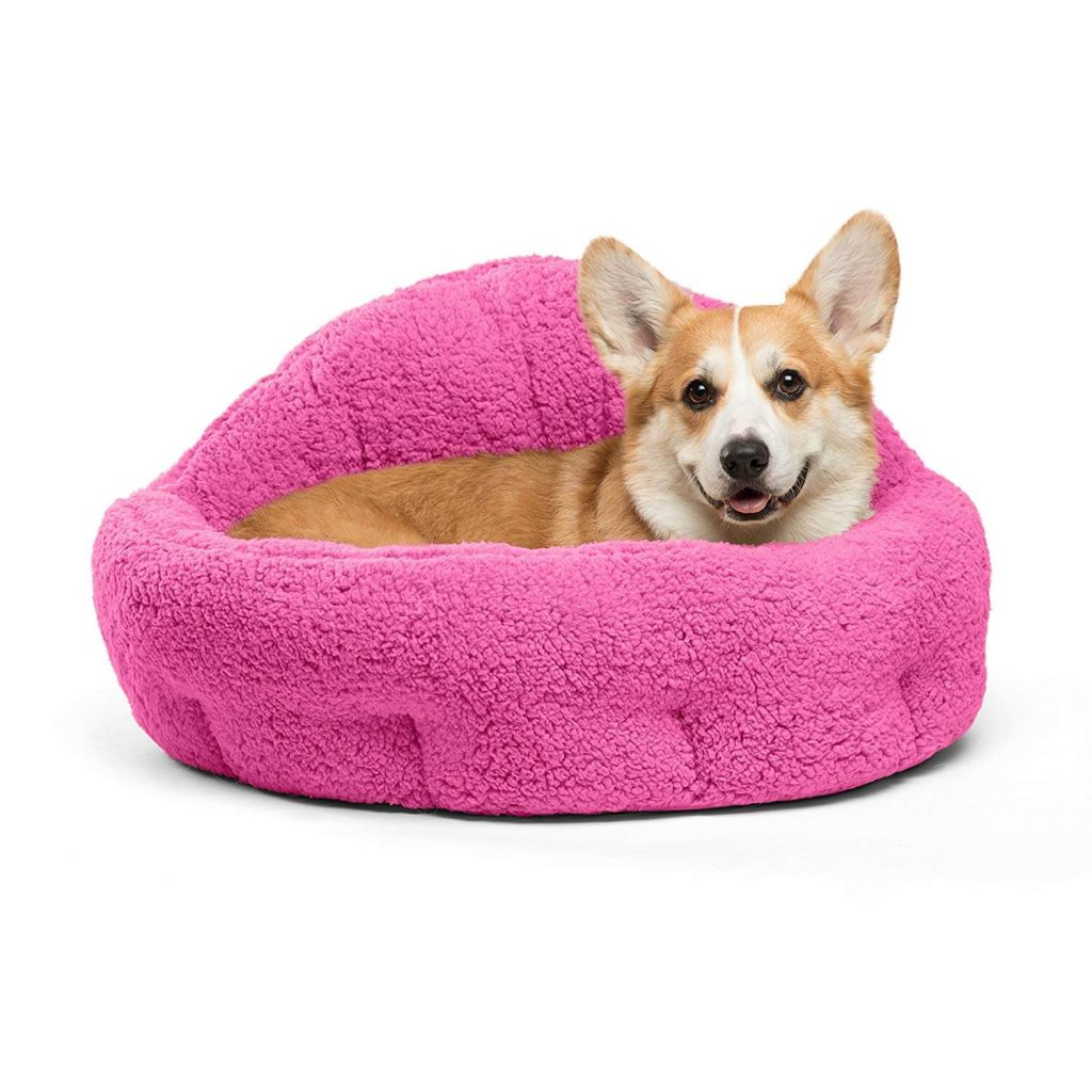 Image showcasing The Best Heated Dog Beds in 2026 | PawGearLab