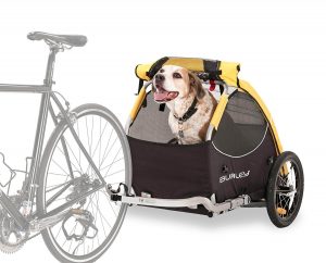 puppy bike carrier