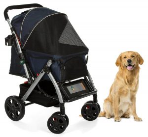 best stroller for dog walking