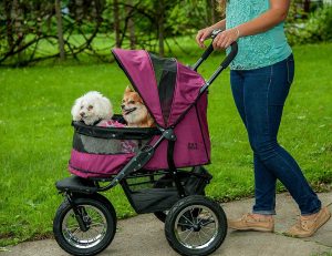 preloved dog stroller