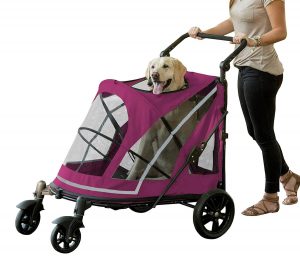 double dog pram