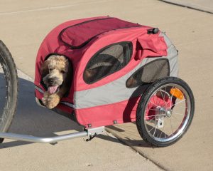 second hand dog trailers