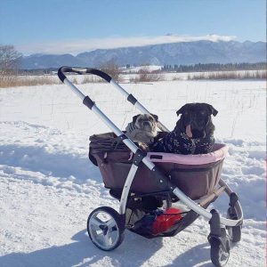 off road dog stroller