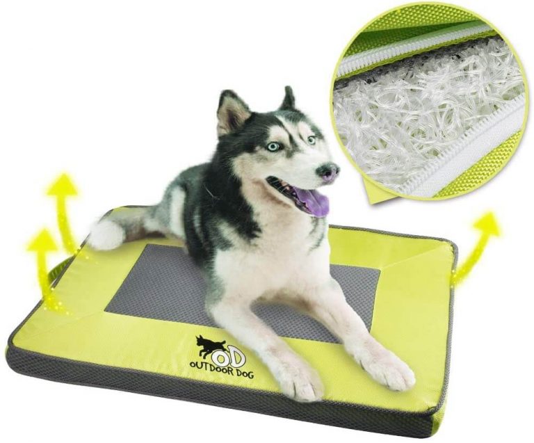 the best dog cooling mat