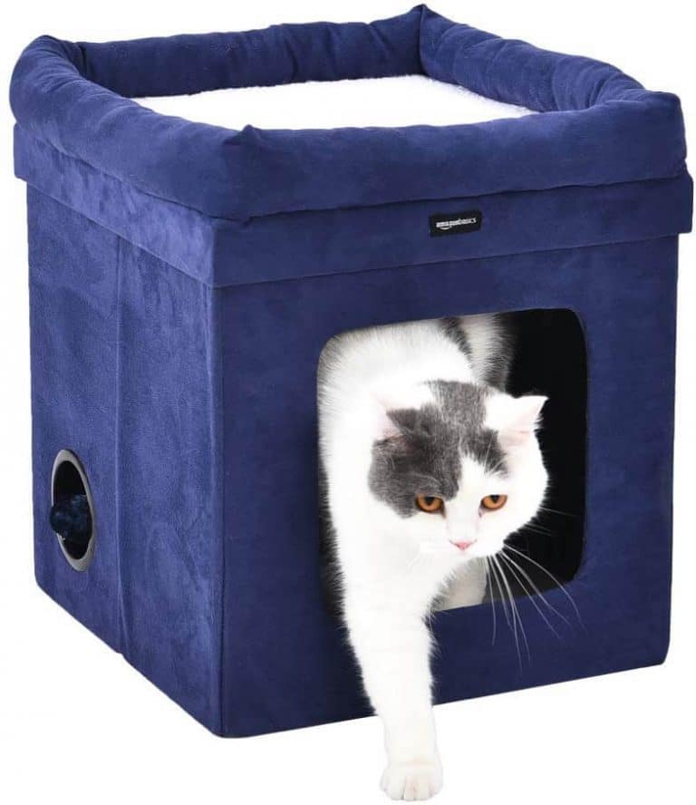 The Best Cat Houses (Reviews) in 2023 PawGearLab