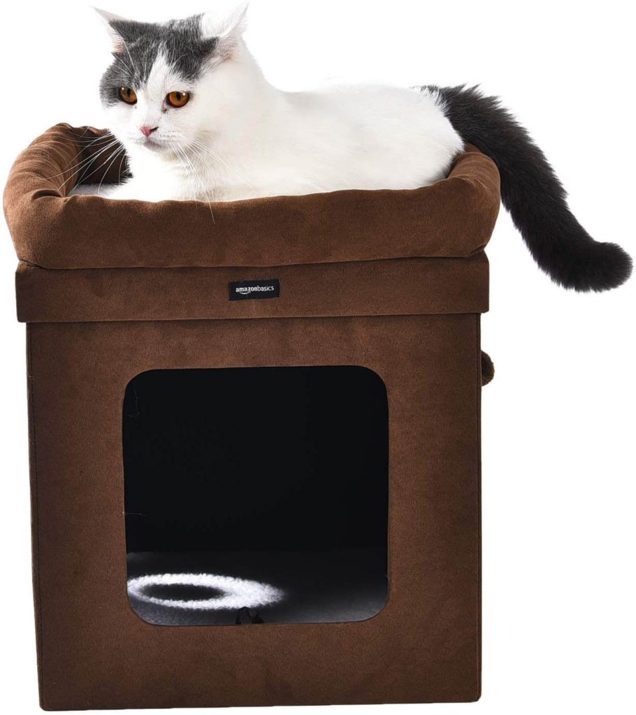 The Best Cat Houses (Reviews) in 2023 PawGearLab