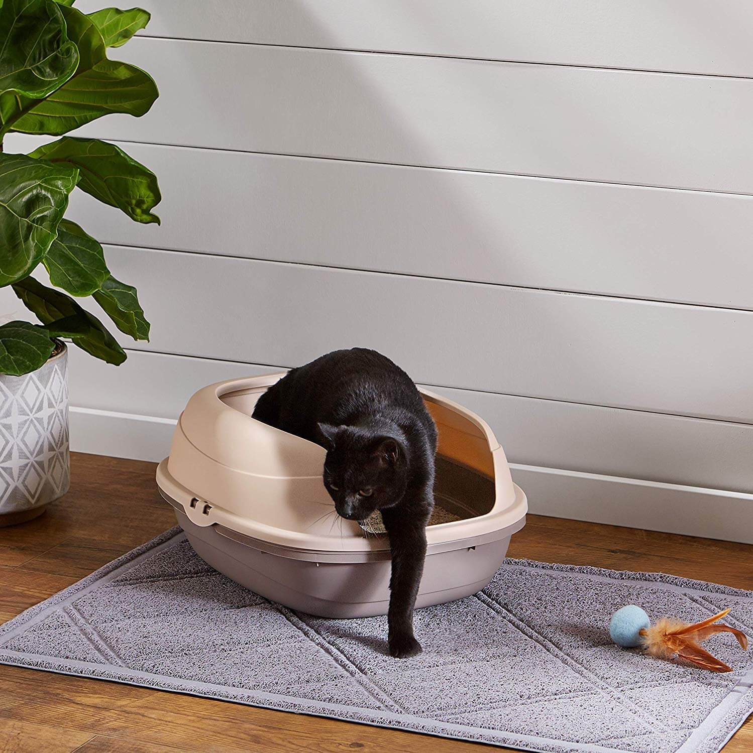 trip cat litter box