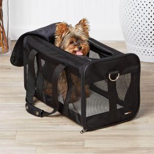 dog carriers for airplanes