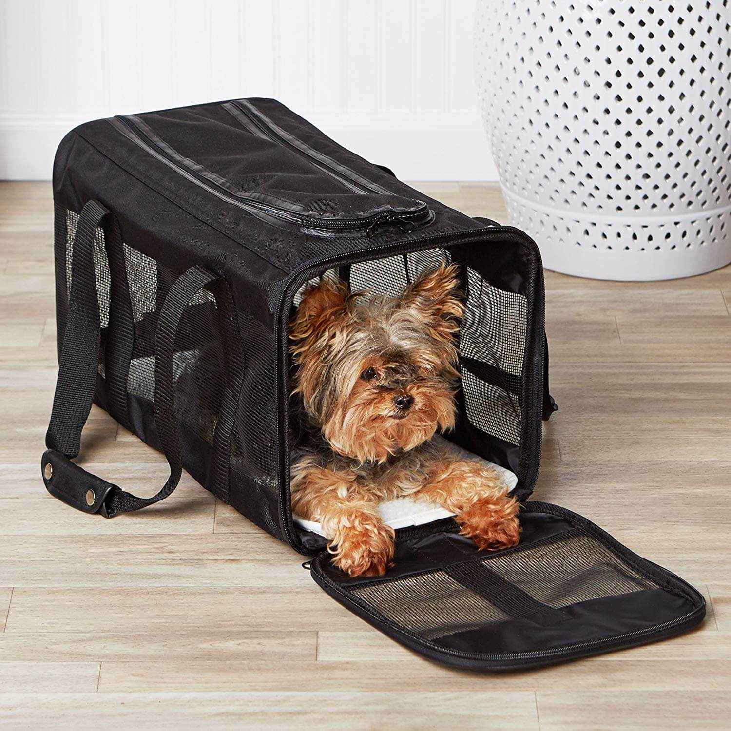 The Best Airline Approved Dog Carriers and Crates in 2023 PawGearLab
