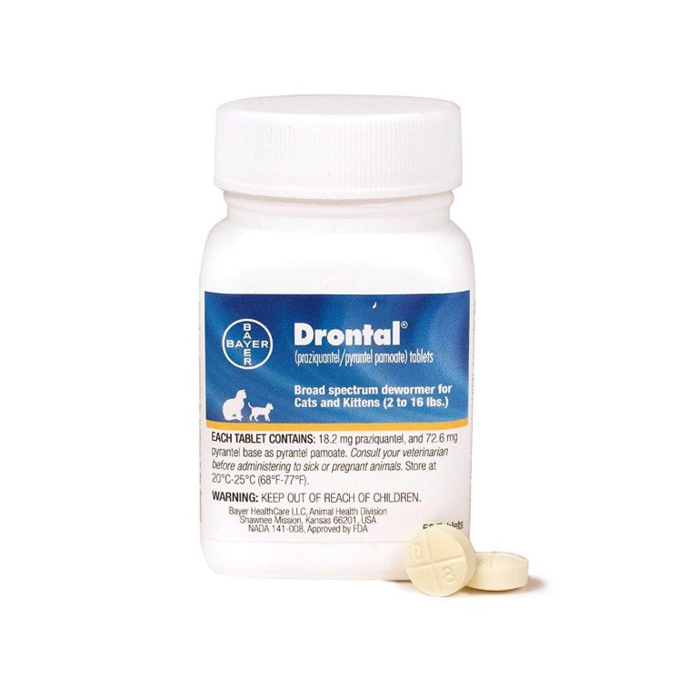 Bayer Drontal Broad Spectrum Dewormer 1 1