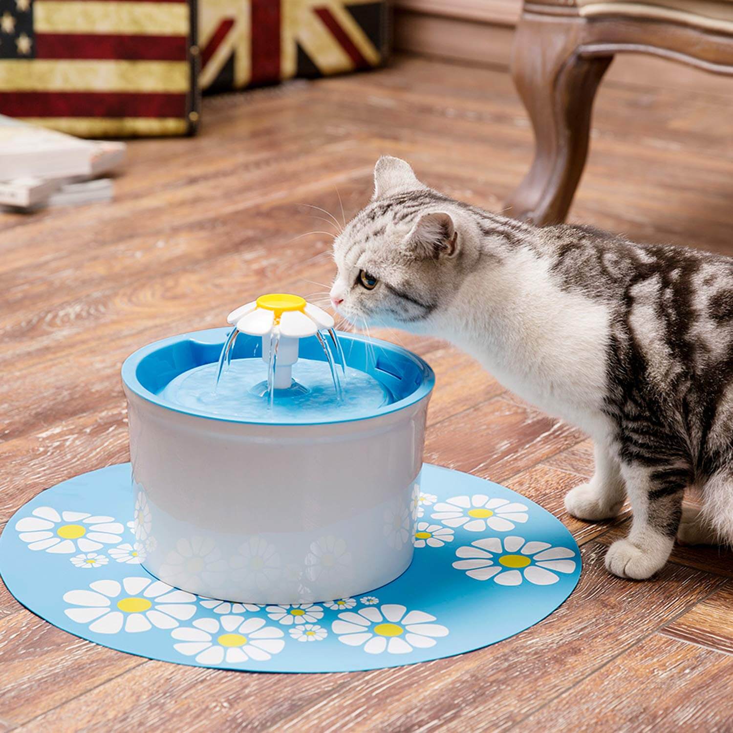 cute cat water fountain