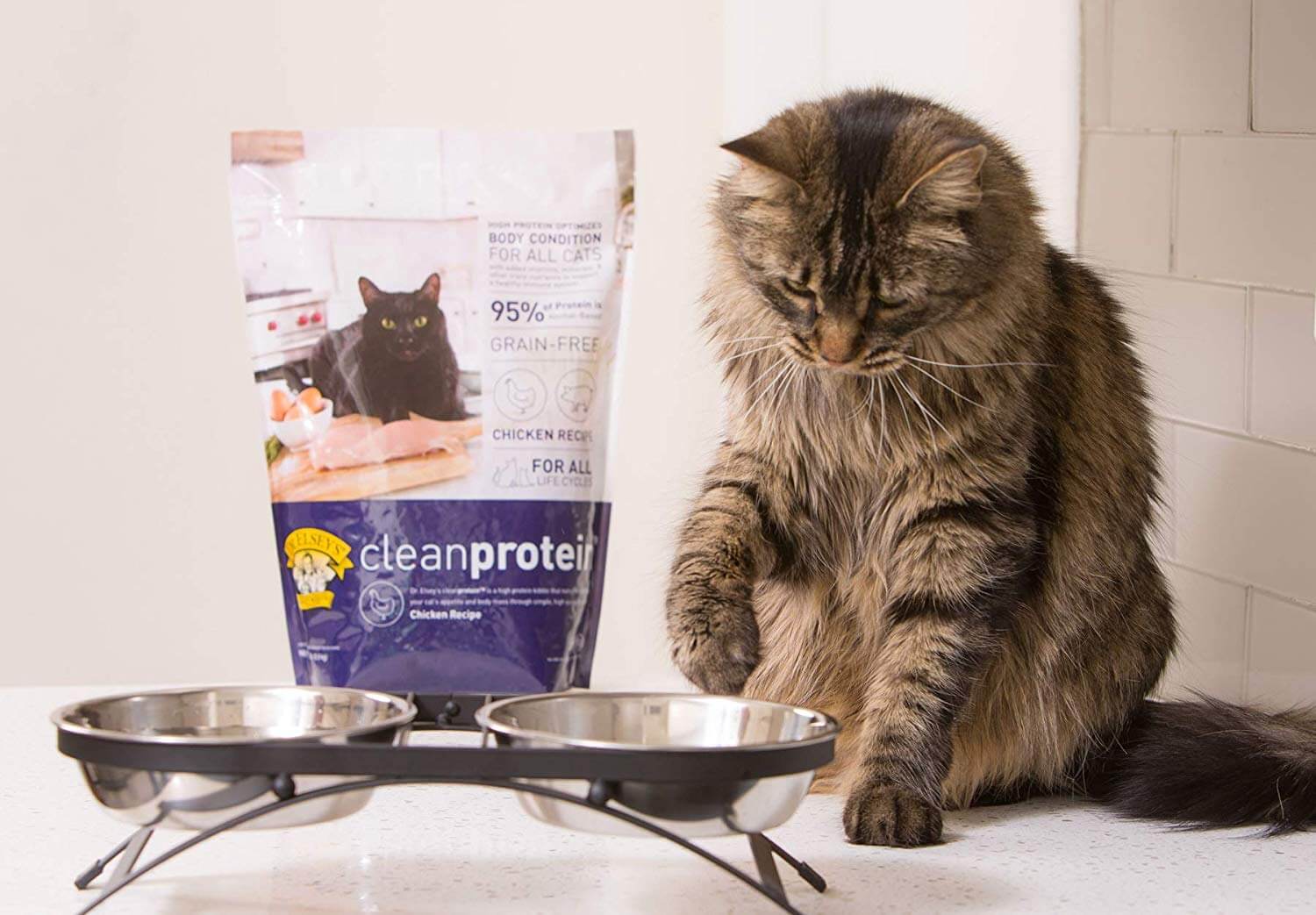 Best Diabetic Cat Food PawGearLab