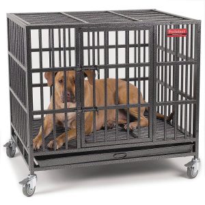 heavy duty dog cage crate kennel