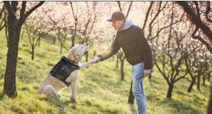 Hanshengday Service Dog Vest