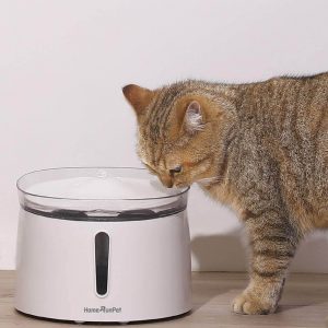 The Best Cat Water Fountains in 2020 