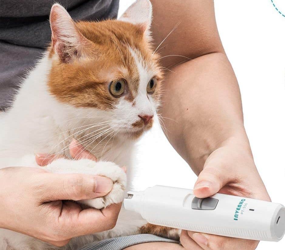 The 5 Best Cat Nail Clippers in 2023 PawGearLab