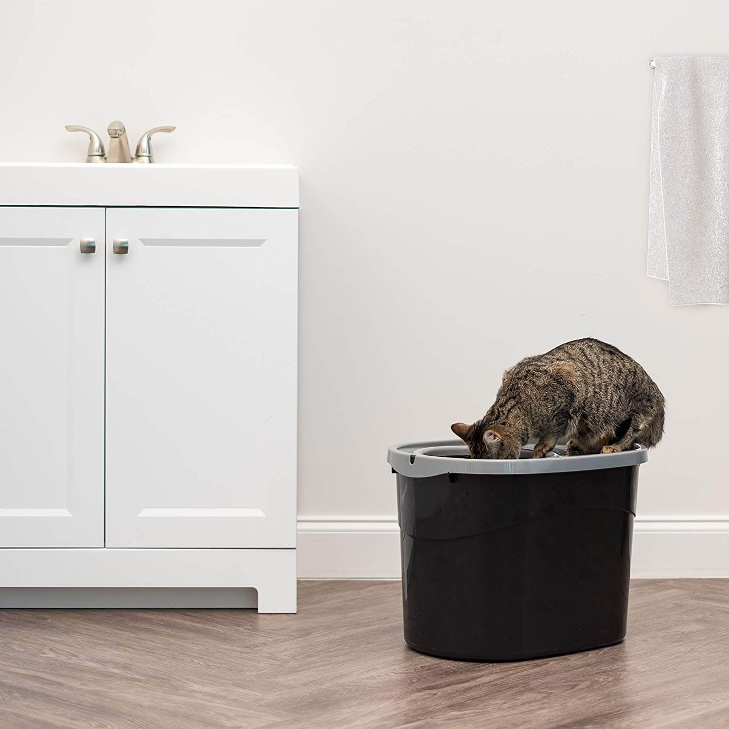 The Best Top Entry Cat Litter Boxes in 2023 PawGearLab