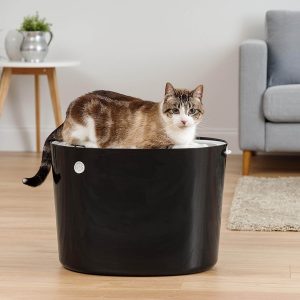 top entry litter box enclosure