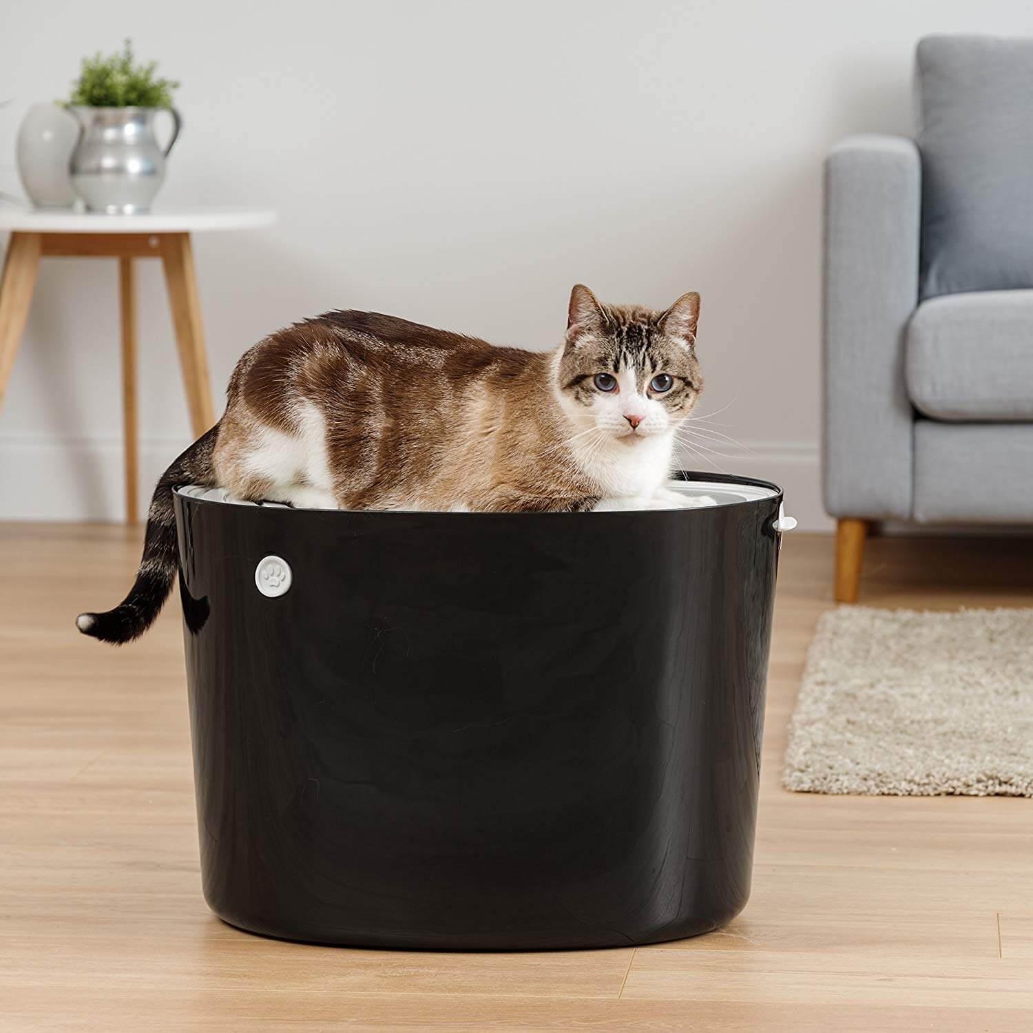 Stylish Top Entry Litter Box Modkat Litter Box Review Cool Stuff