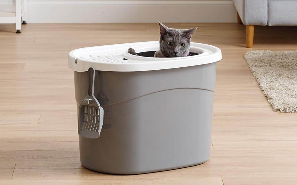 The Best Top Entry Cat Litter Boxes in 2023 PawGearLab