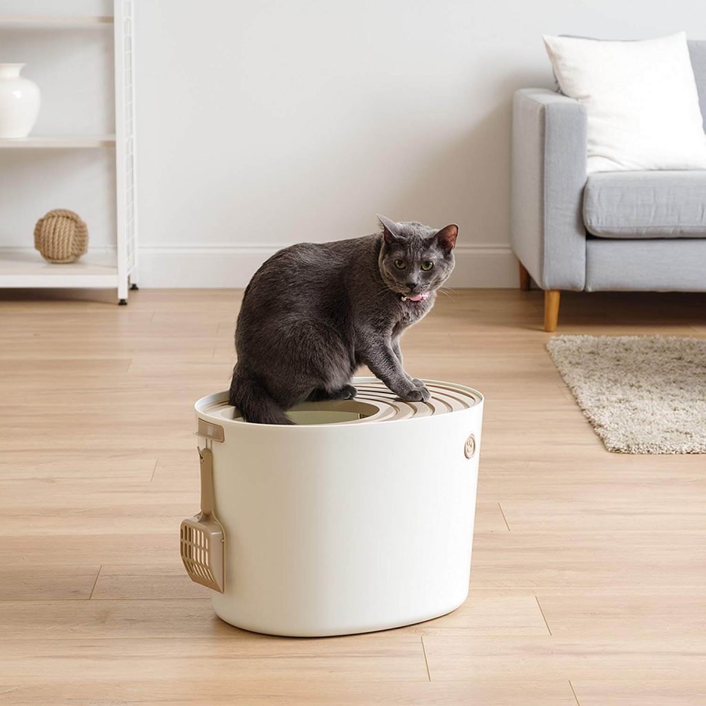 The Best Top Entry Cat Litter Boxes in 2023 PawGearLab