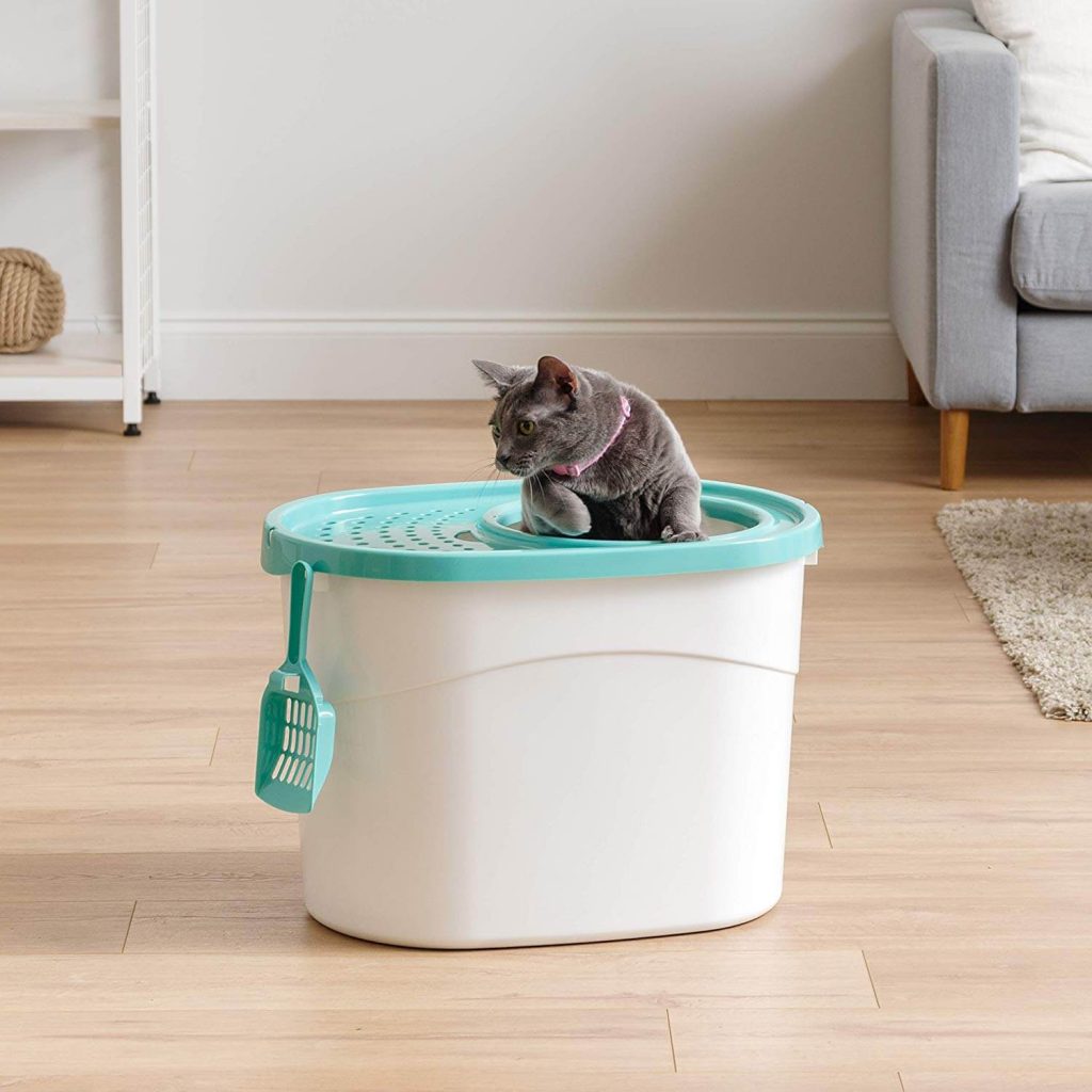 The 5 Best Sifting Cat Litter Boxes in 2021 PawGearLab