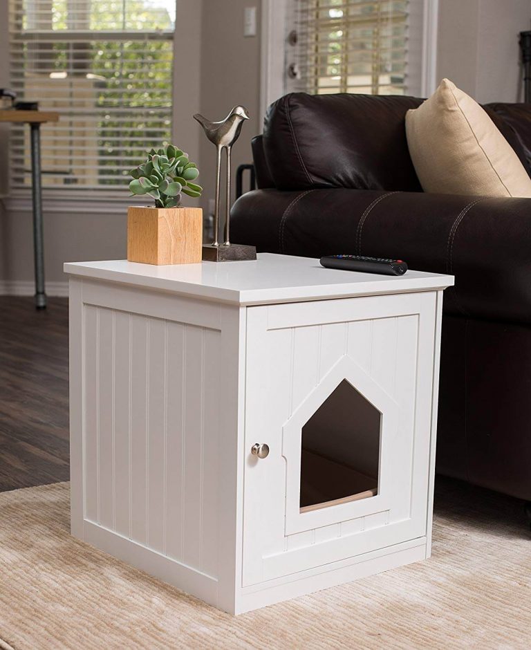 The Best Cat Houses (Reviews) in 2023 PawGearLab