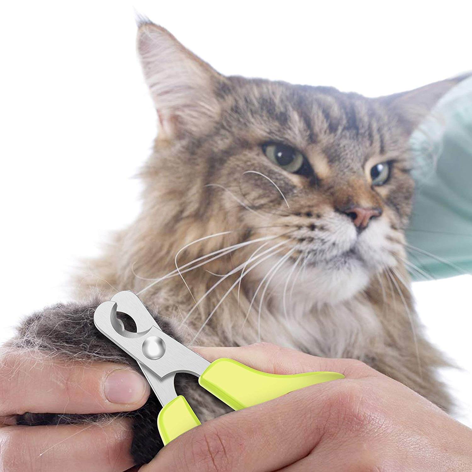 easy cat nail clippers