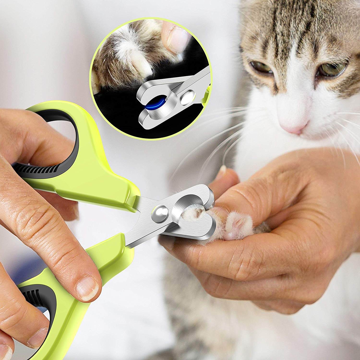 Picture of The 5 Best Cat Nail Clippers in 2023 | PawGearLab