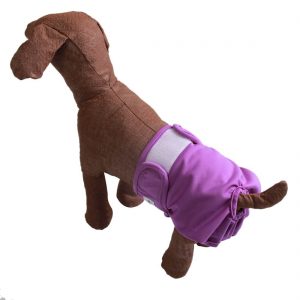 dog diapers for poop
