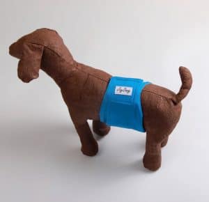 boy dog pee diaper
