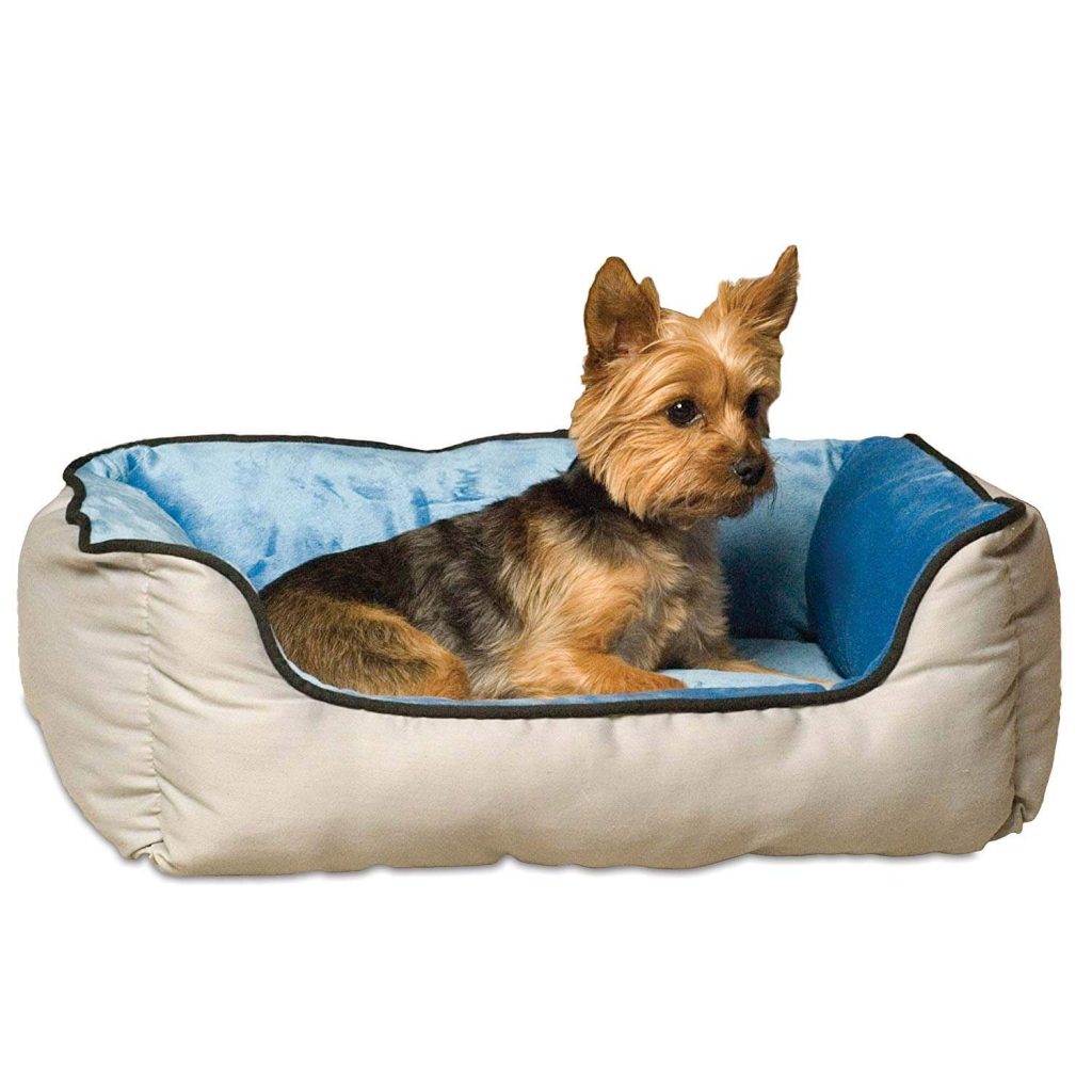 The Best Small Dog Beds in 2023 PawGearLab