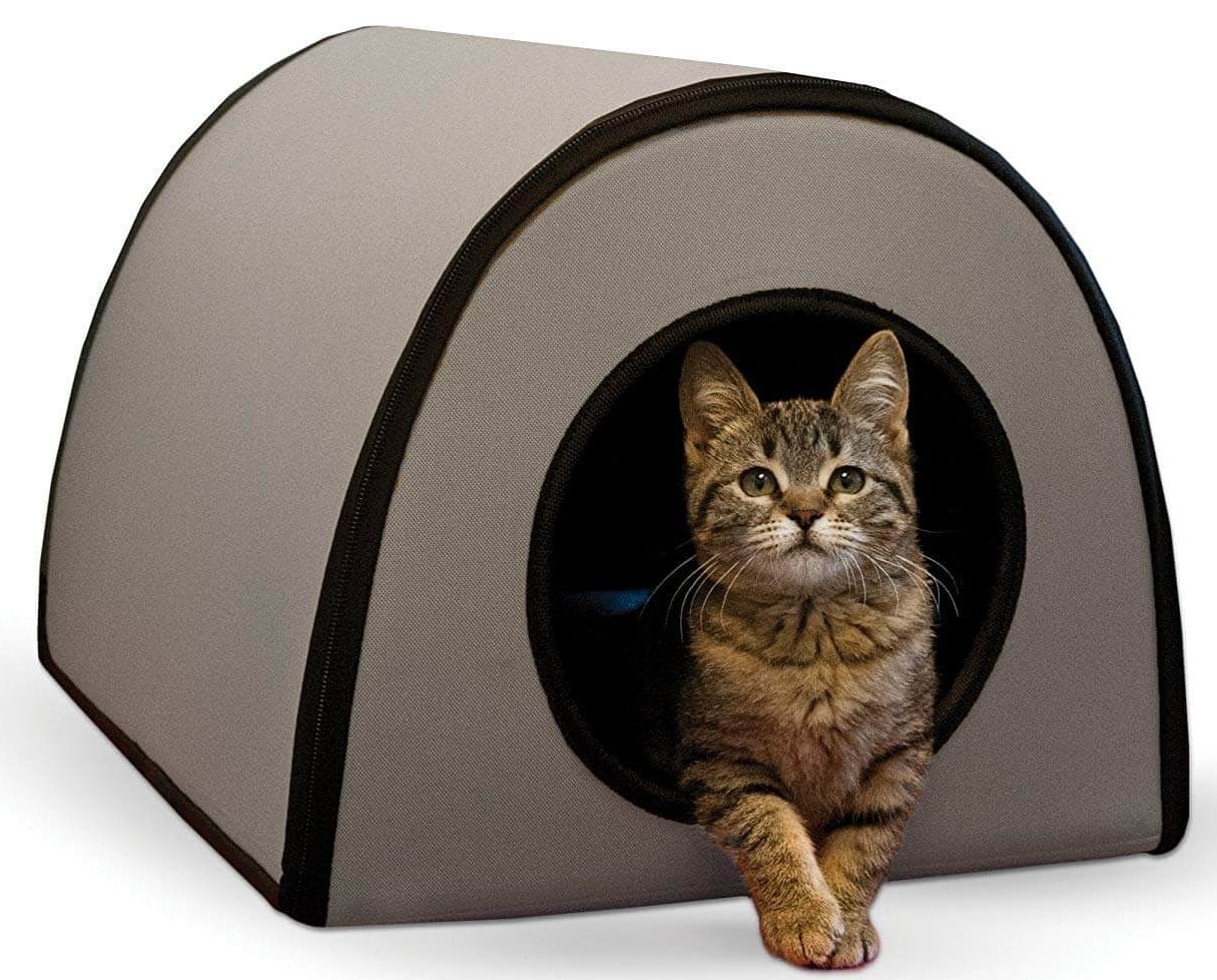 The 5 Best Heated Cat Beds in 2023 PawGearLab