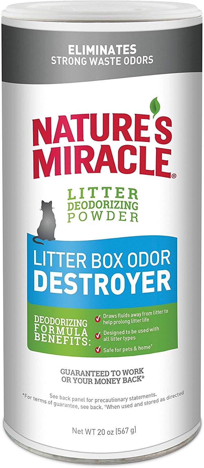 Best Cat Litter for Odor Control in 2023 PawGearLab