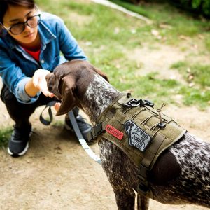hunting dog harness vest