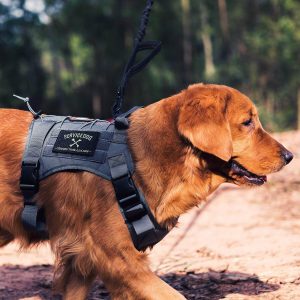 Tactical dog harness accessories Clearance