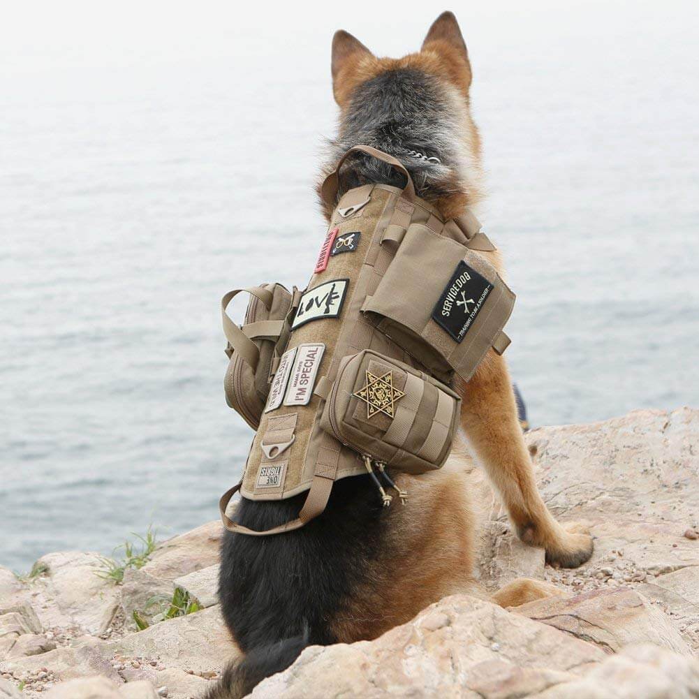 The Best Tactical Dog Harnesses (Reviews) in 2023 PawGearLab