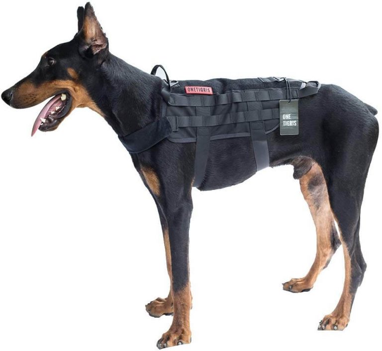 The Best Tactical Dog Harnesses (Reviews) in 2023 PawGearLab
